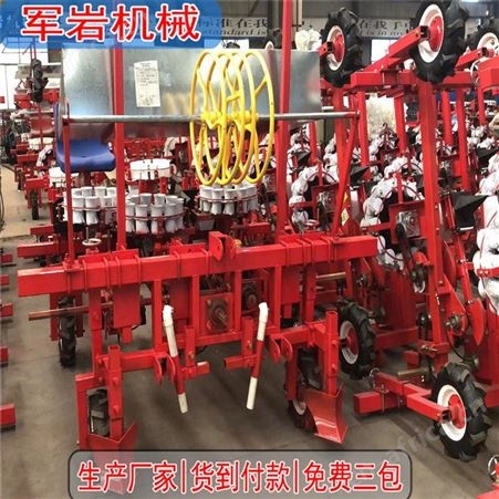 西兰花、包菜移栽机_岩_移栽机_加工供应