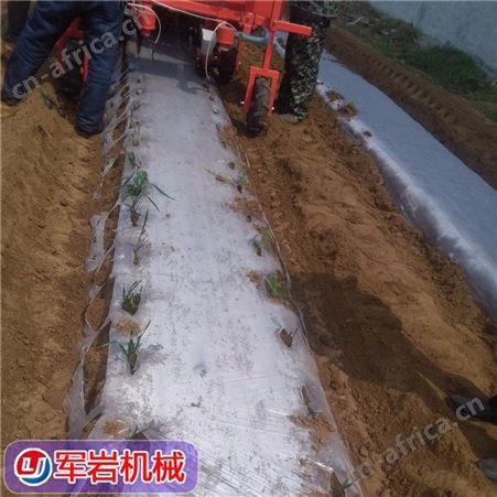 辣椒蔬菜移栽机_军岩_甘蓝种植机_大量批发厂家