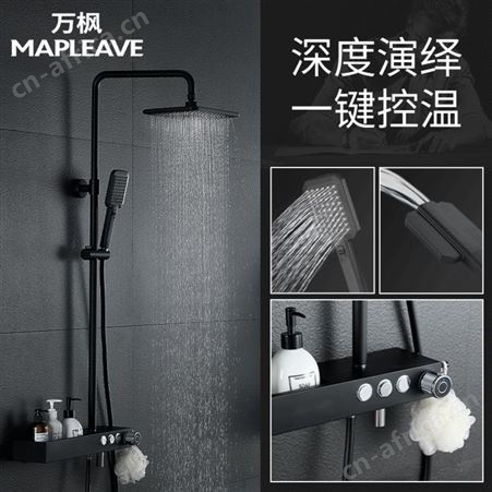 万枫卫浴淋浴花洒套装全铜家用多功能卫浴置物花洒套装可升降