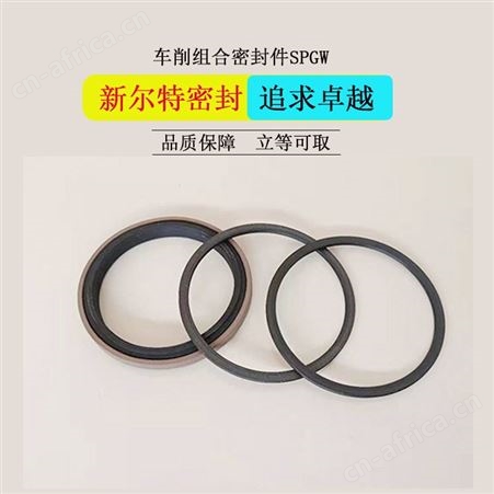 车削工艺聚四氟乙烯异形密封件液压泵用A新尔特生产