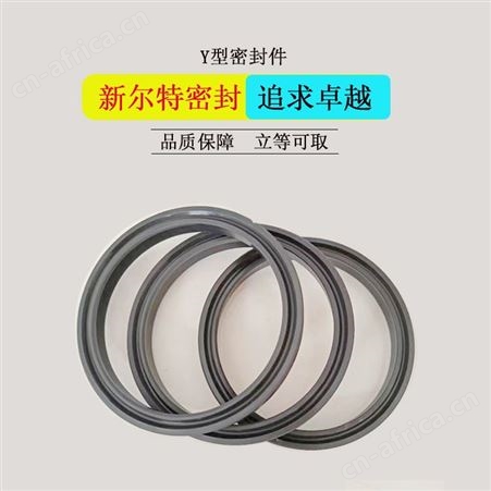 车削工艺聚四氟乙烯异形密封件液压泵用A新尔特生产