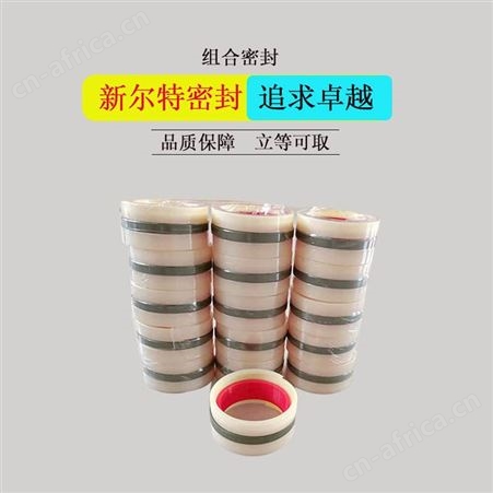组合GDKK型油封液压油缸用A新尔特密封件供应
