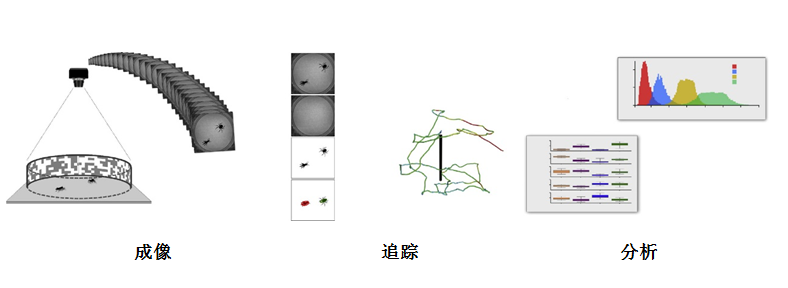image.png image.png
