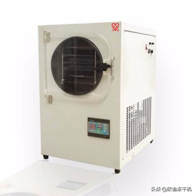 一份对虫草冻干工艺的研究